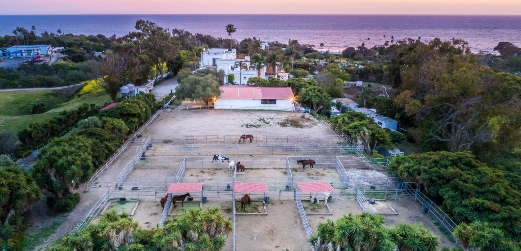 HORSES-IN-REAR-MANSION-IN-FOREGROUND-OCEAN