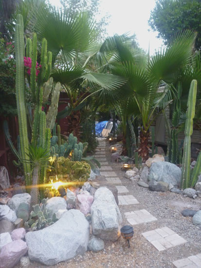 Catus-Garden-1