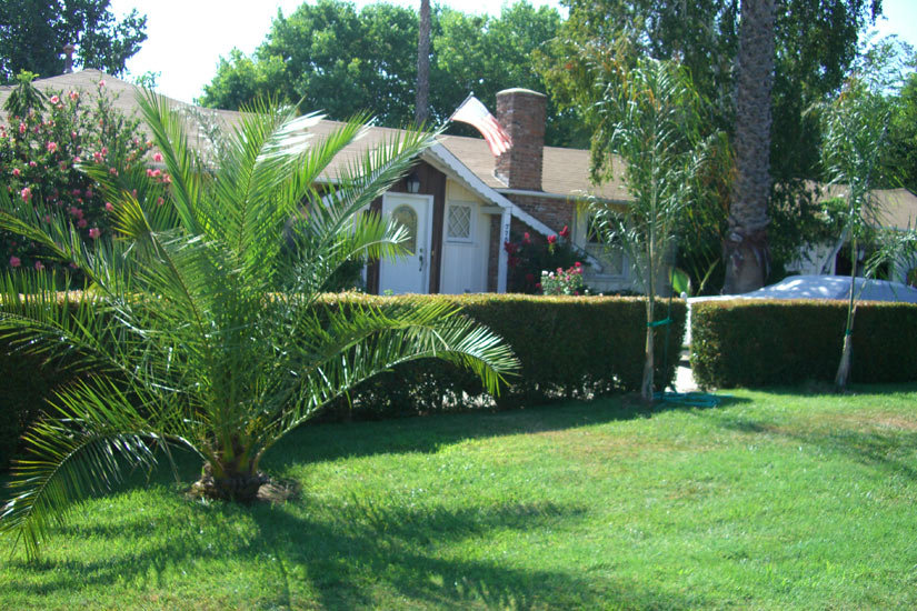 Frount-of-House-21