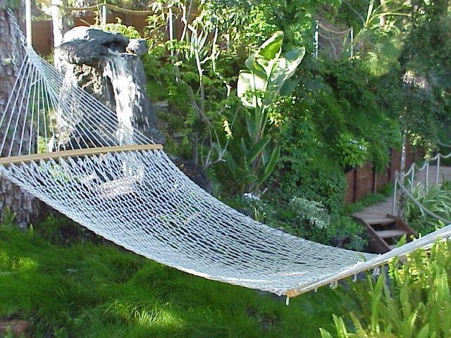Hammock