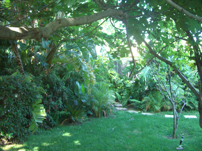 Jungle-at-home-5