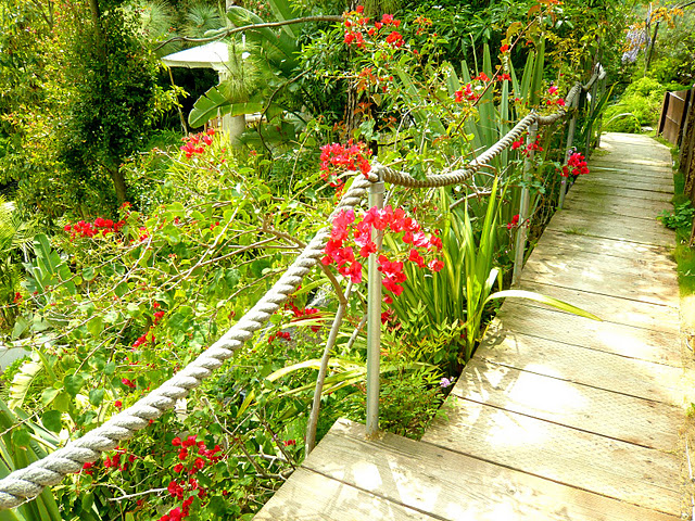 deck