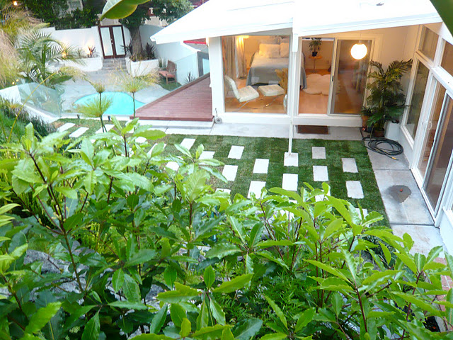 yard-thru-bushes