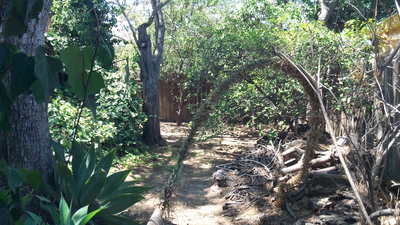 100_3676-800x450