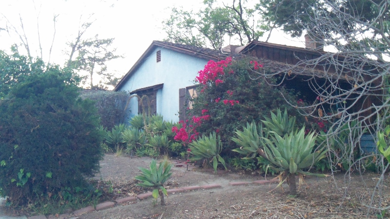 100_3699-800x450