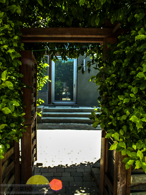 1040-edits-32-of-36