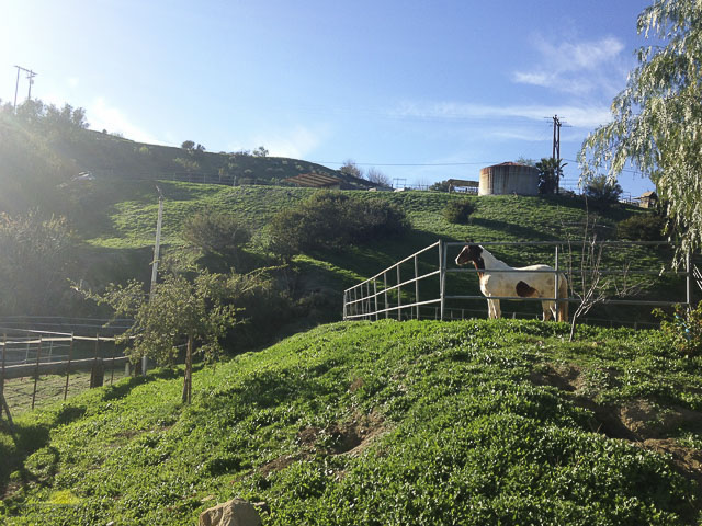 9045 Ranch