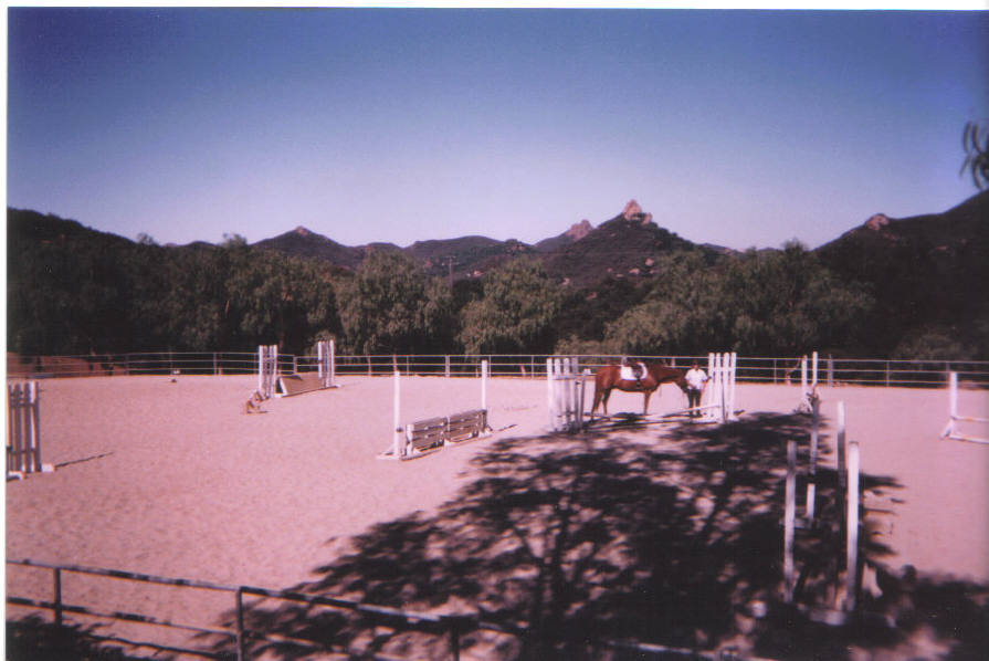 Arena21