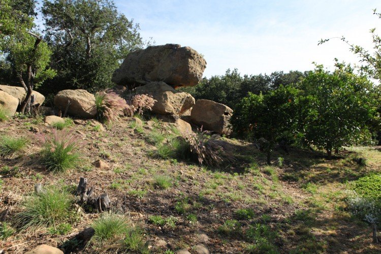 Back-rocks-750x500