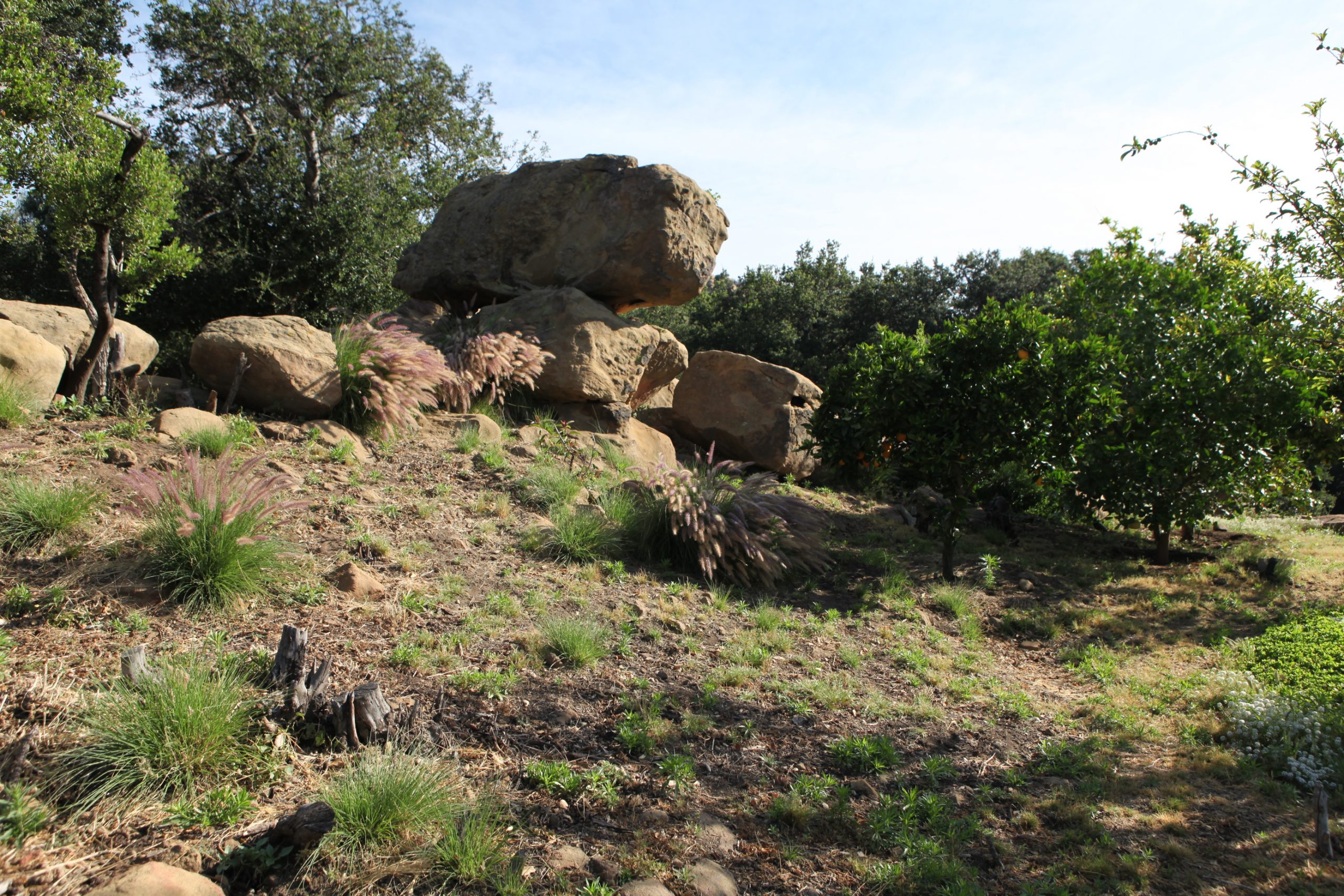 Back rocks
