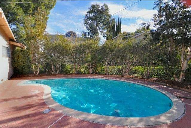 Backyard-1