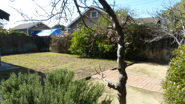 Backyard-Swenson