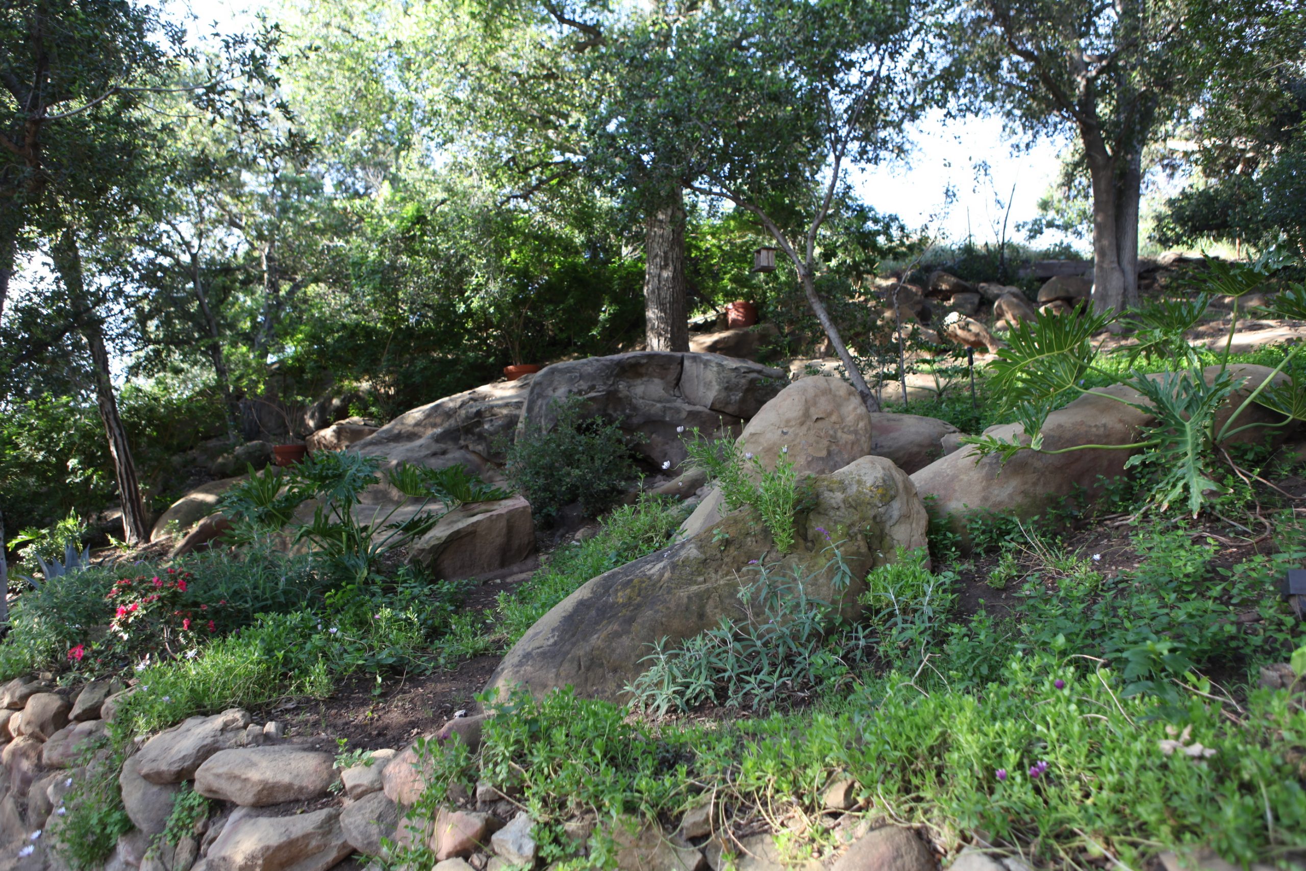 Entrance Hillside