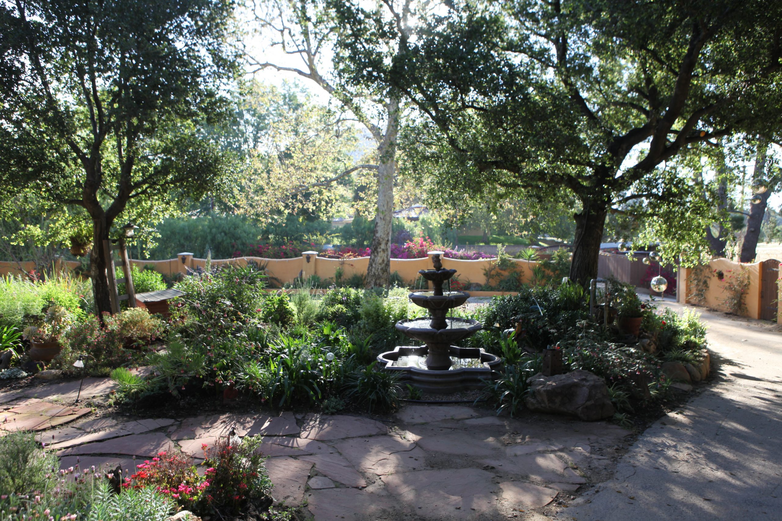 Fountain_front