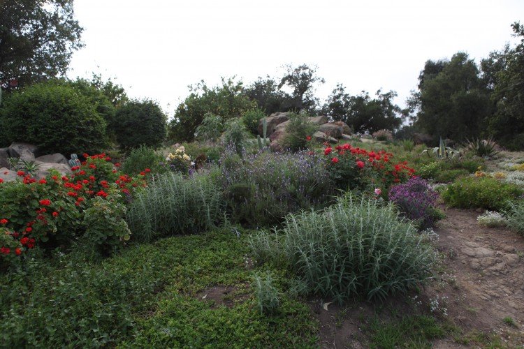 Front-Center-Hill-750x500