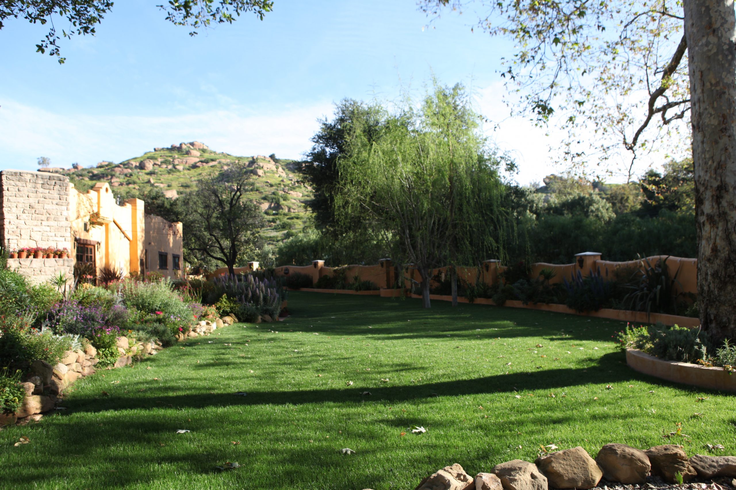 Front Lawn Sun