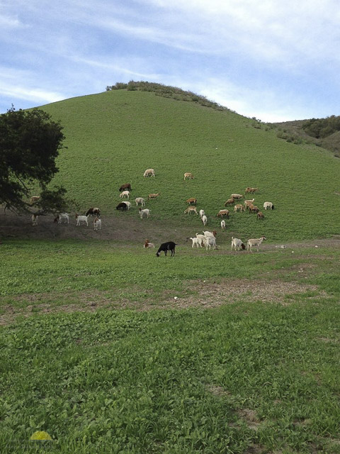 Hidden-Canyon-Ranch-25-of-46