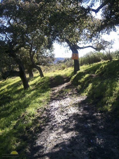 Hidden-Canyon-Ranch-28-of-46