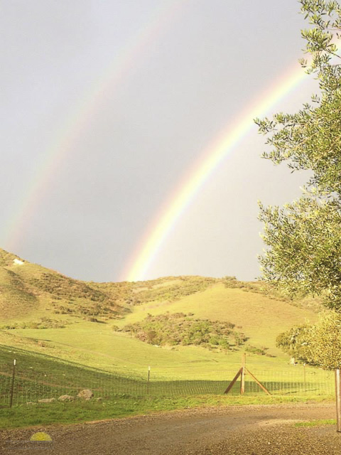 Hidden-Canyon-Ranch-29-of-46
