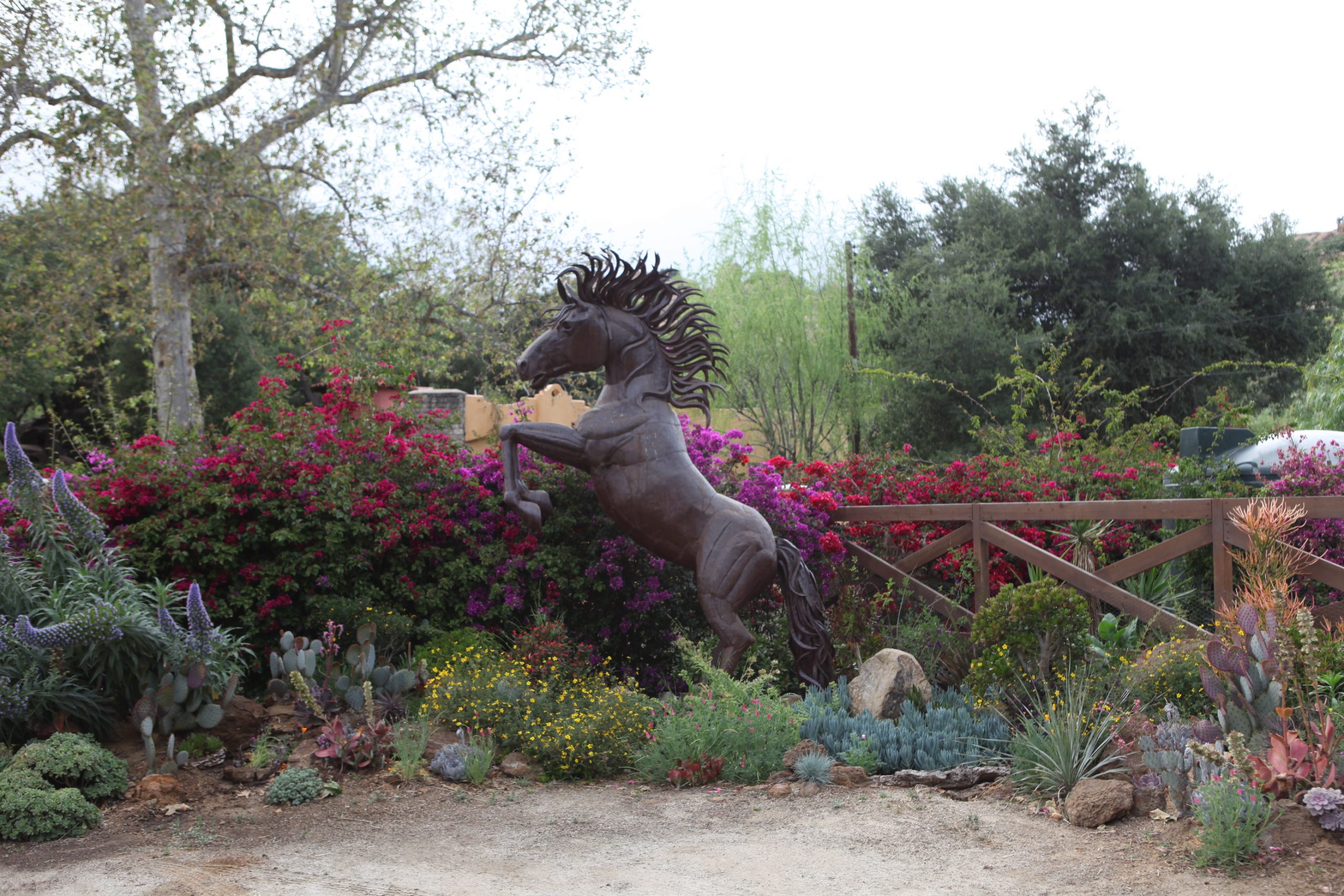 Horse2