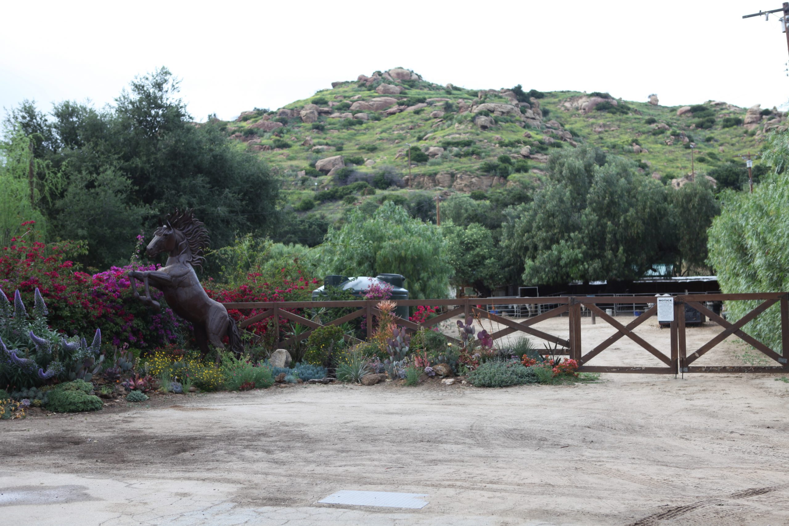 Horsestables