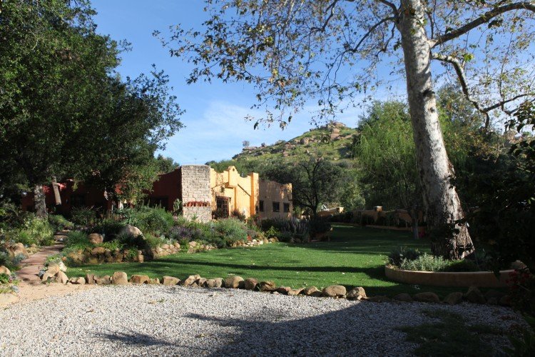 House_Lawn_Sun-750x500
