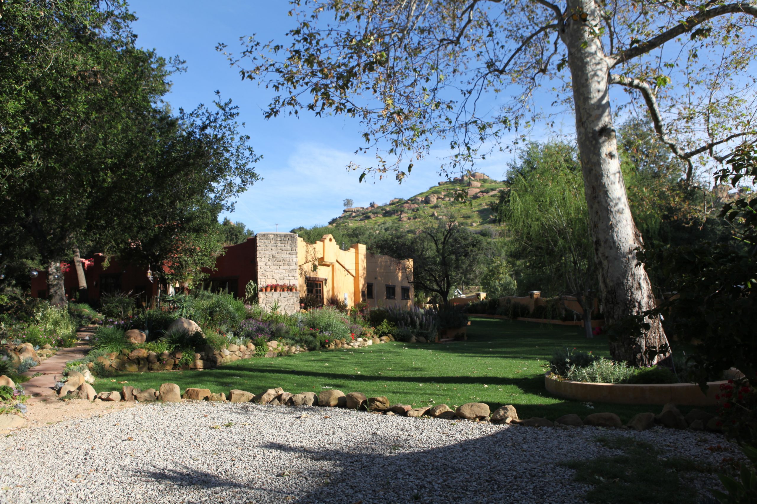 House_Lawn_Sun