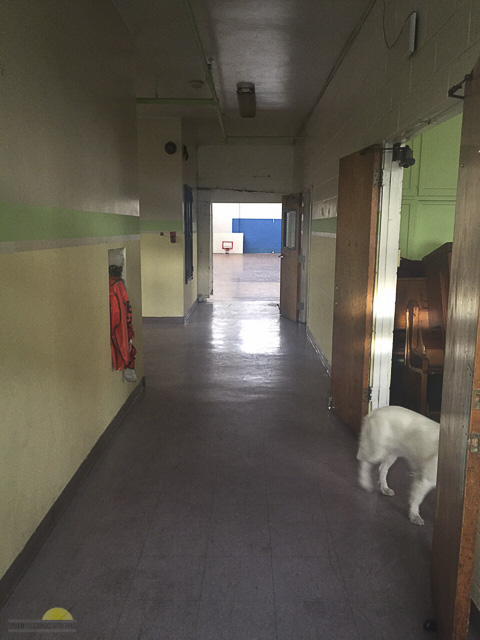 Image-1