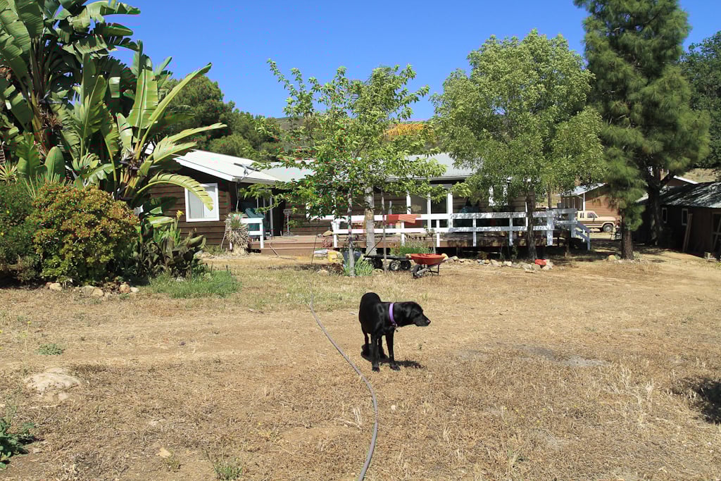 James_Ranch-1685