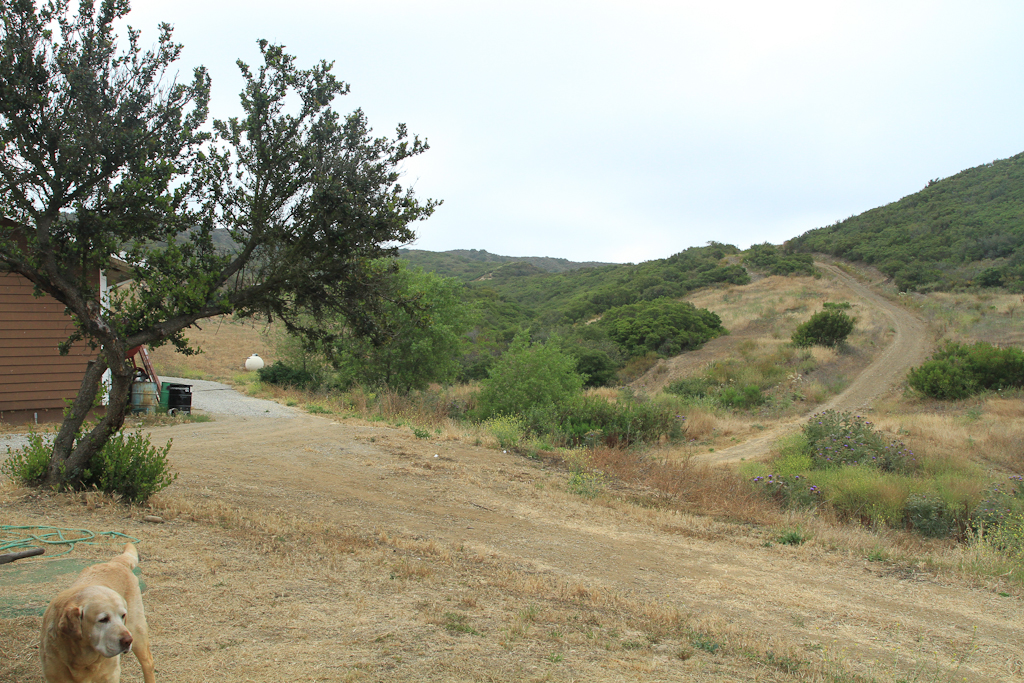James_Ranch-1825