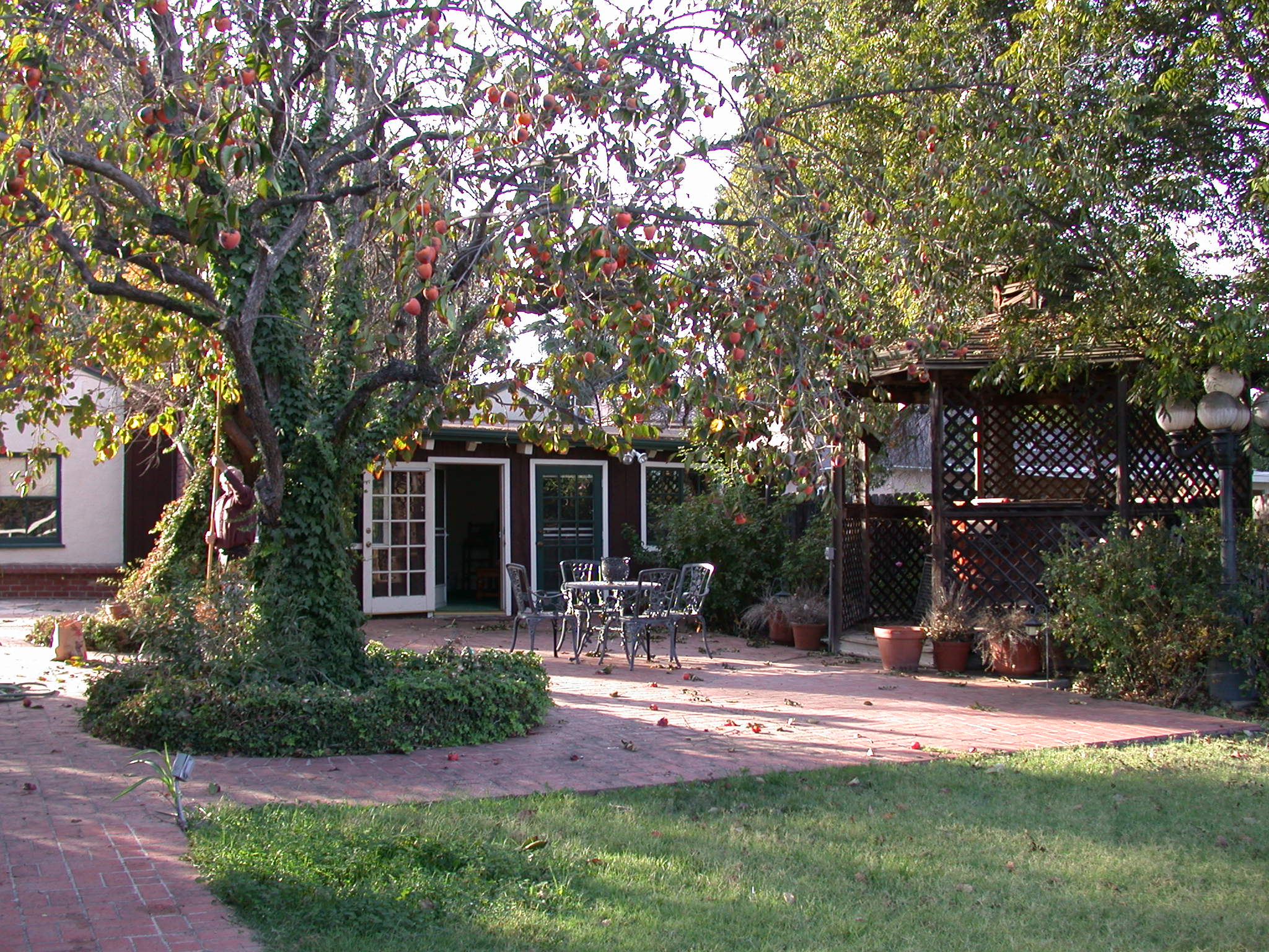Melvin-house