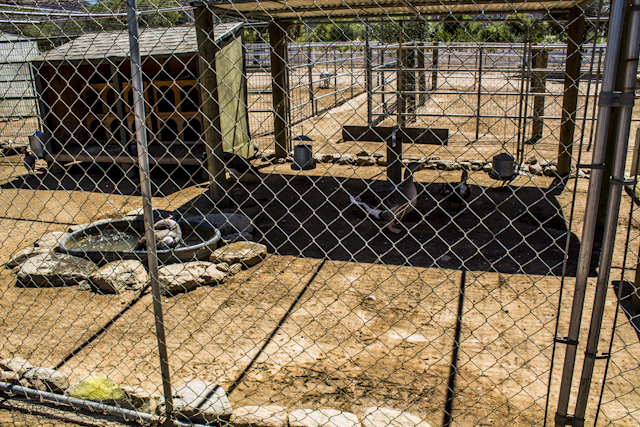 New-location-pics-152-of-243