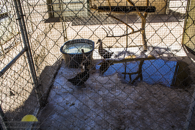 New-location-pics-154-of-243
