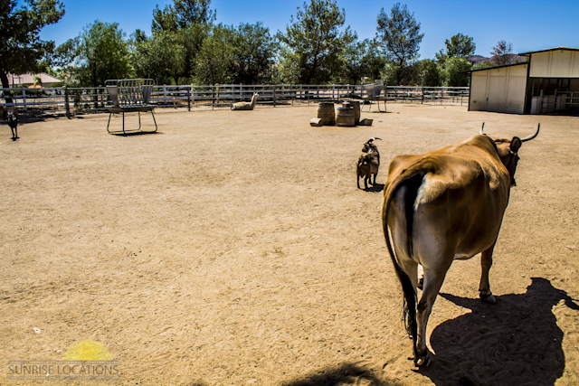 New-location-pics-156-of-243
