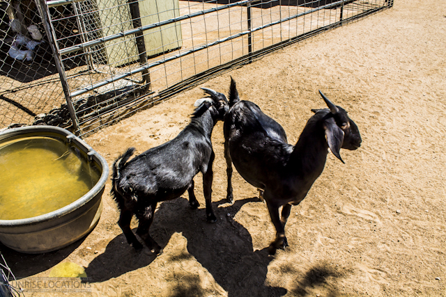 New-location-pics-157-of-243