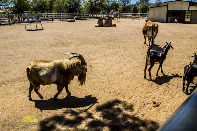 New-location-pics-158-of-243