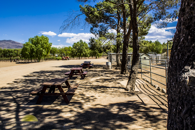 New-location-pics-160-of-243