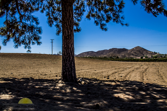 New-location-pics-178-of-243
