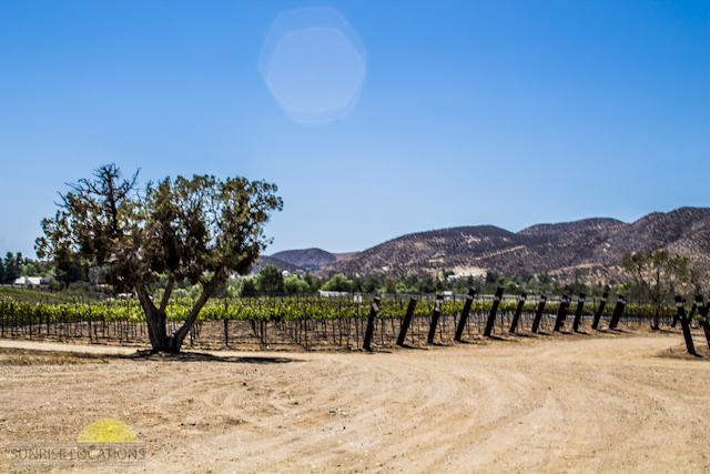 New-location-pics-204-of-243