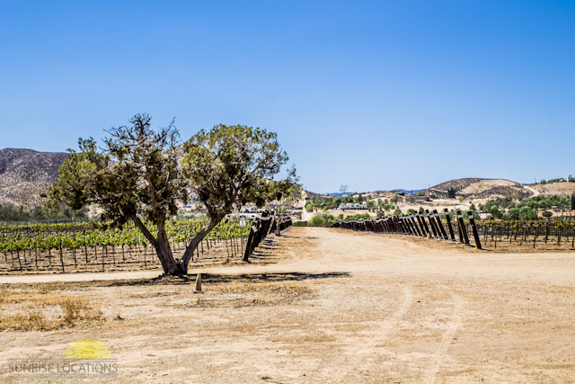 New-location-pics-206-of-243