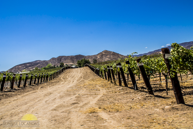 New-location-pics-216-of-243
