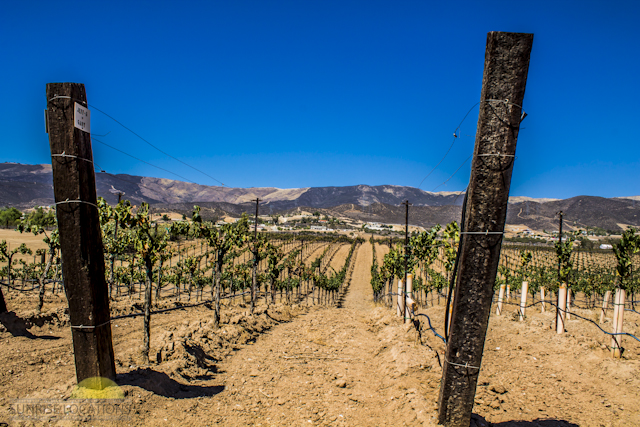New-location-pics-221-of-243