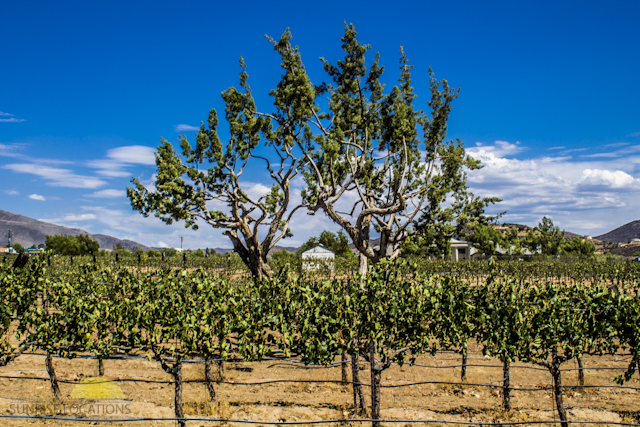 New-location-pics-237-of-243