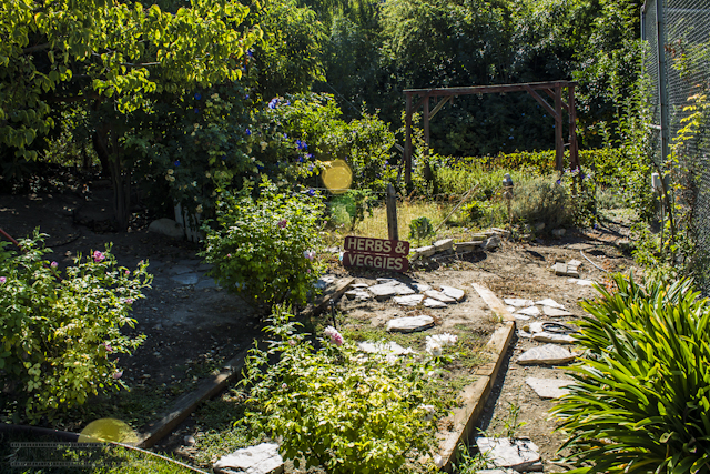 New-location-pics-54-of-243