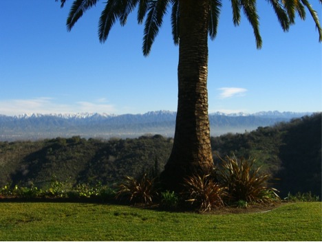 Rich-David-Sherview-Backyard-North-View-1