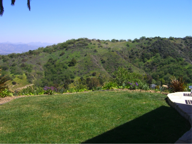 Rich-David-Sherview-Backyard-View-2-665x500-1