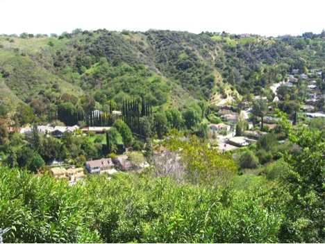 Rich-David-Sherview-Canyon-East-Side-View-1