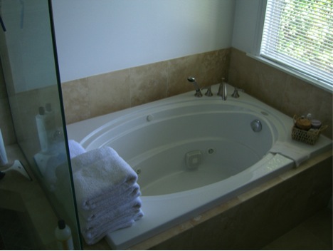 Rich-David-Sherview-Master-Bath-Spa-Tub-1