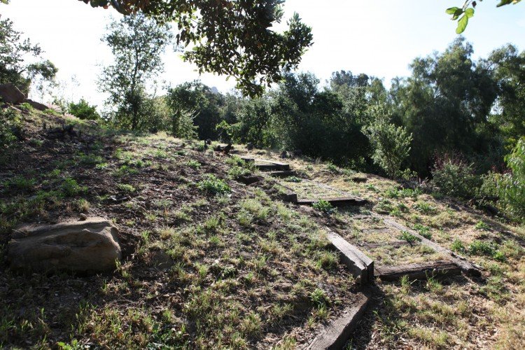 Trail-to-hill-750x500