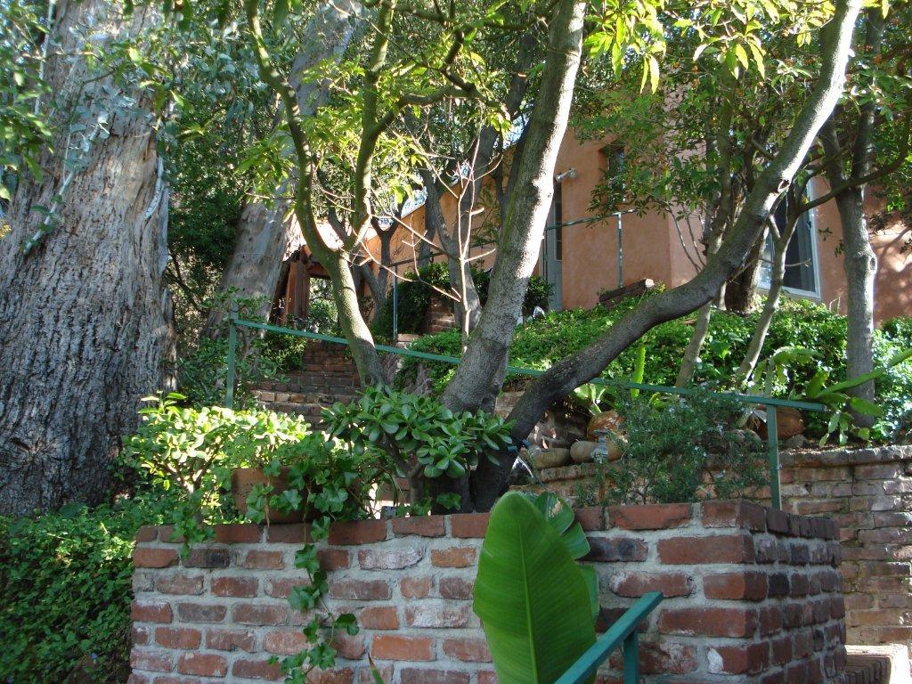 View-from-house-back-to-garage